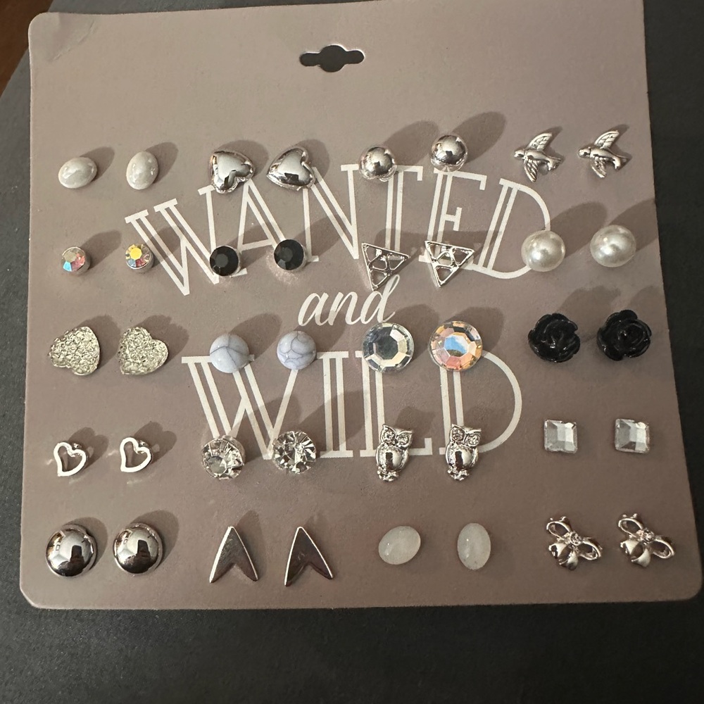 NWOT No Brand Silver and Black Earring Set, 20 pairs